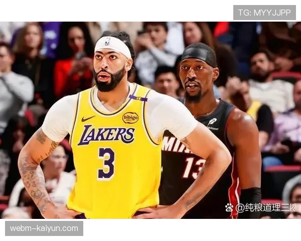 热火区域联防体系分析 巴特勒阿德巴约防守核心作用